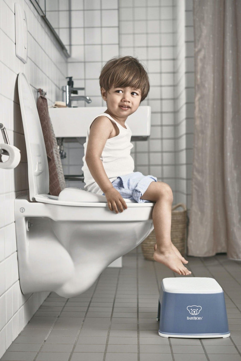 Shop BabyBjorn Toilet Training Seat Online Melbourne at Kiddie Country